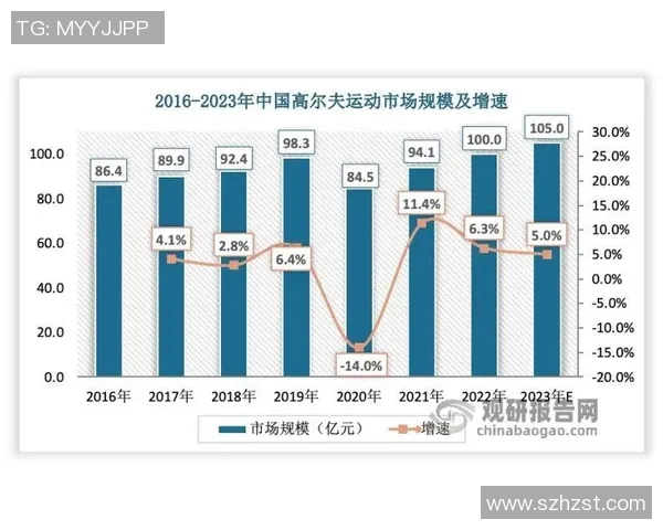 武汉排球队状态分析:聚焦排球运动的现状与未来发展趋势